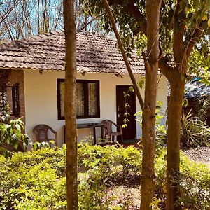 Bungalow Garden View
